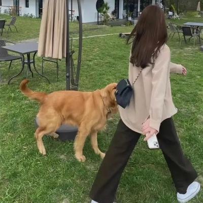 安然无恙